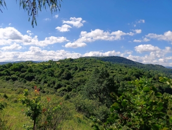 Wakacyjne zajęcia z GOK - podsumowanie - zdjęcie54