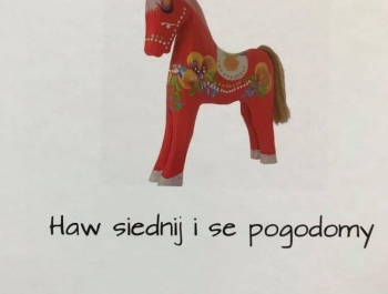 GBP: publikacja powstała w programie „Haw siednij i se pogodomy”. - zdjęcie2