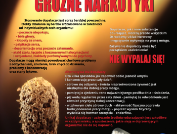 PSSE w Żywcu - akcja Bezpieczne ferie 2022 - zdjęcie3