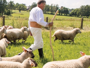 ROZPOCZĘCIE SEZONU PASTERSKIEGO W WOJEWÓDZTWIE ŚLĄSKIM - zdjęcie5