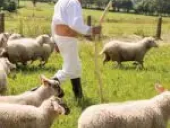 ROZPOCZĘCIE SEZONU PASTERSKIEGO W WOJEWÓDZTWIE ŚLĄSKIM - zdjęcie4