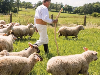 ROZPOCZĘCIE SEZONU PASTERSKIEGO W WOJEWÓDZTWIE ŚLĄSKIM - zdjęcie3
