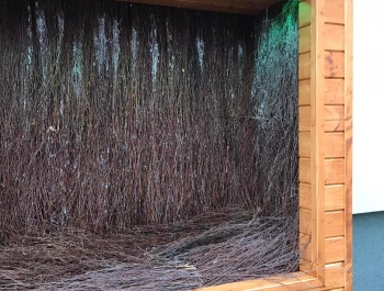 Tężnia Solankowa - zdjęcie6