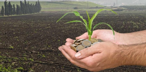 Ruszyła wypłata dopłat do nawozów