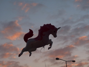 Cudowny weekend. Słów kilka o Dniach Gminy Gilowice - zdjęcie20