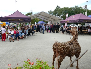 BITWA REGIONÓW - zdjęcie22