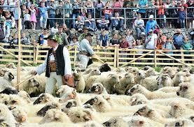 ROZPOCZĘCIE SEZONU PASTERSKIEGO W WOJEWÓDZTWIE ŚLĄSKIM