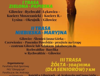 VII EKSTREMALNA DROGA KRZYŻOWA W GILOWICACH - zdjęcie1