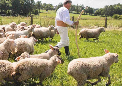 ROZPOCZECIE SEZONU PASTERSKIEGO W WOJEWÓDZTWIE ŚLĄSKIEM