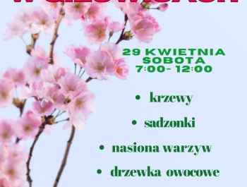 KIERMASZ OGRODNICZY W GILOWICACH - zdjęcie1