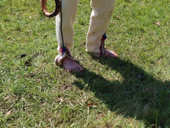 OTWARCIE SEZONU PASTERSKIEGO W WOJEWÓDZTWIE ŚLĄSKIM - zdjęcie31