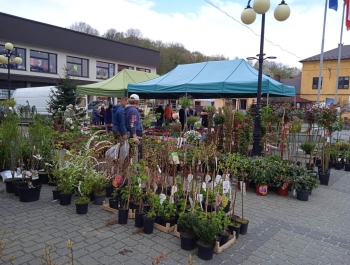 Kiermasz ogrodniczy - zdjęcie9