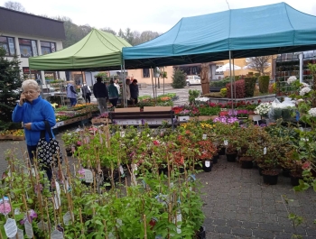 Kiermasz ogrodniczy - zdjęcie7