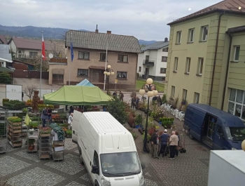 Kiermasz ogrodniczy - zdjęcie6