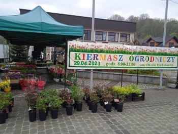 Kiermasz ogrodniczy - zdjęcie1