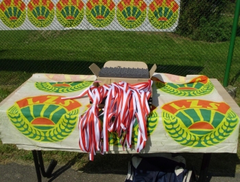 Lekkoatletyczna paraolimpiada - zdjęcie9