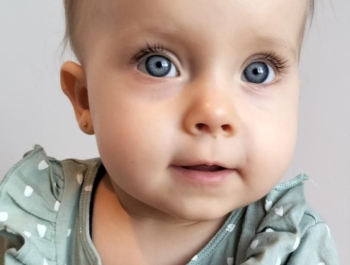 Program "Korpus Wsparcia Seniorów" rok 2023 - zdjęcie1