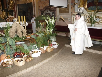 DOŻYNKI W RYCHWAŁDZIE - zdjęcie10