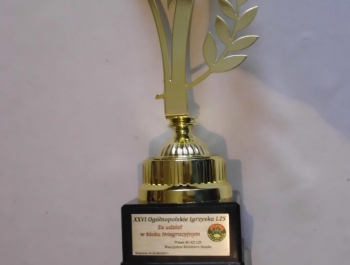 Kolejny sukces niepełnosprawnych sportowców - zdjęcie3