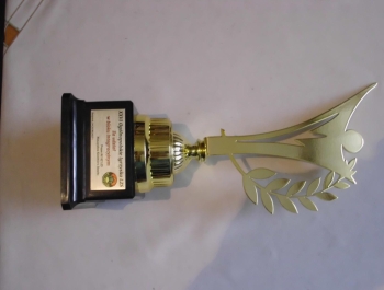 Kolejny sukces niepełnosprawnych sportowców - zdjęcie2