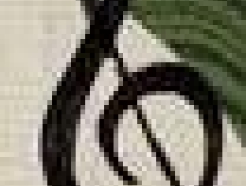 WARSZTATY DLA INSTRUKTORÓW DZIECIĘCYCH  ZESPOŁÓW FOLKLORYSTYCZNYCH - zdjęcie3