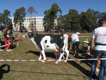 Gilowice i Częstochowa - reprezentanci województwa śląskiego na Ogólnopolskich Igrzyskach "Aktywna Wieś" - zdjęcie3
