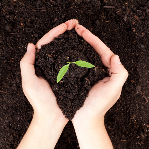 Badanie gleb - informacja