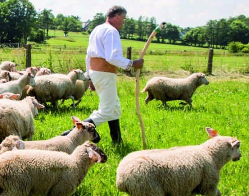 ROZPOCZĘCIE SEZONU PASTERSKIEGO W WOJEWÓDZTWIE ŚLĄSKIM