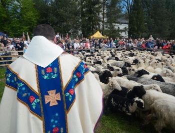 SEZON PASTERSKI W WOJEWÓDZTWIE ŚLĄSKIM OTWARTY ... - zdjęcie35