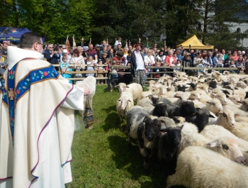 SEZON PASTERSKI W WOJEWÓDZTWIE ŚLĄSKIM OTWARTY ... - zdjęcie37