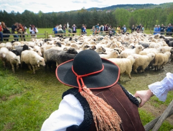 SEZON PASTERSKI W WOJEWÓDZTWIE ŚLĄSKIM OTWARTY ... - zdjęcie39