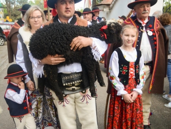 SEZON PASTERSKI W WOJEWÓDZTWIE ŚLĄSKIM OTWARTY ... - zdjęcie18