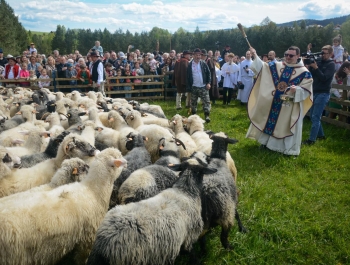 SEZON PASTERSKI W WOJEWÓDZTWIE ŚLĄSKIM OTWARTY ... - zdjęcie21