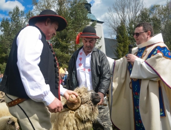 SEZON PASTERSKI W WOJEWÓDZTWIE ŚLĄSKIM OTWARTY ... - zdjęcie23