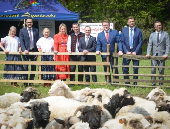 SEZON PASTERSKI W WOJEWÓDZTWIE ŚLĄSKIM OTWARTY ... - zdjęcie28