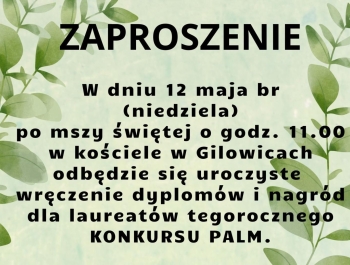 UROCZYSTE WRĘCZENIE DYPLOMÓW I NAGRÓD DLA LAUREATÓW KONKURSU PALM - zdjęcie2