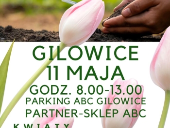 KIERMASZ OGRODNICZY - 11.05.2024 r. - zdjęcie1