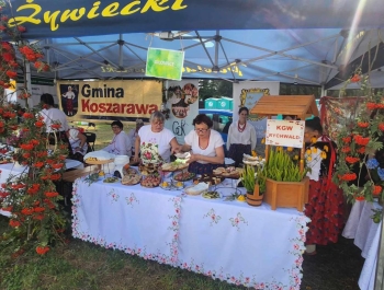 DNI POWIATU ŻYWIECKIEGO - zdjęcie8