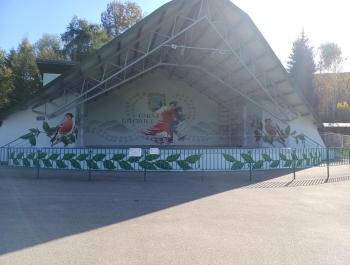 INICJATYWA SOŁECKA 2024 - zdjęcie3