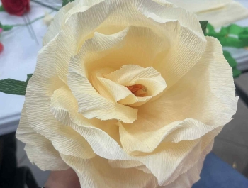 Warsztaty bibułkarskie - zdjęcie14