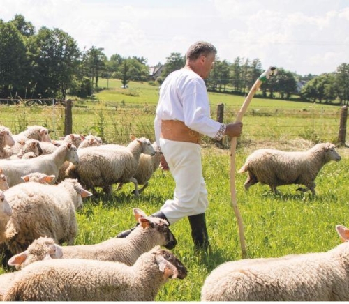 ZAKOŃCZENIE SEZONU PASTERSKIEGO W WOJEWÓDZTWIE ŚLĄSKIM