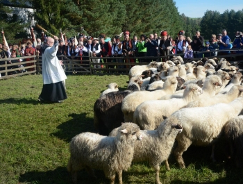 Zakończenie Sezonu Pasterskiego w Województwie Śląskim - zdjęcie11