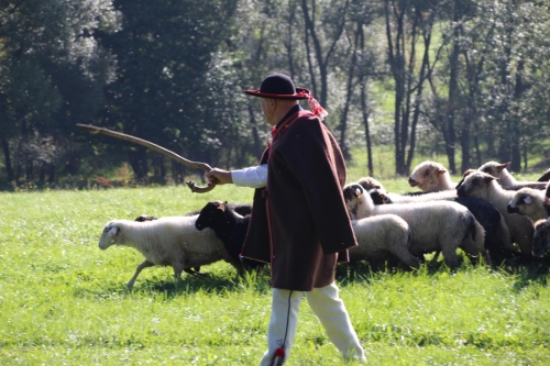 Zakończenie Sezonu Pasterskiego w Województwie Śląskim
