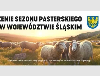 Zakończenie Sezonu Pasterskiego w Województwie Śląskim - zdjęcie28